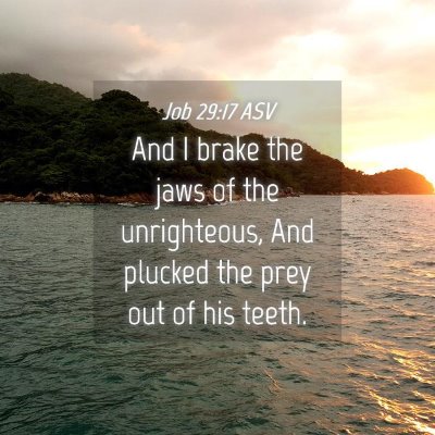 Picture 04 - Job 29:17 ASV - And I brake the jaws of the unrighteous, And - Bible Verse Picture