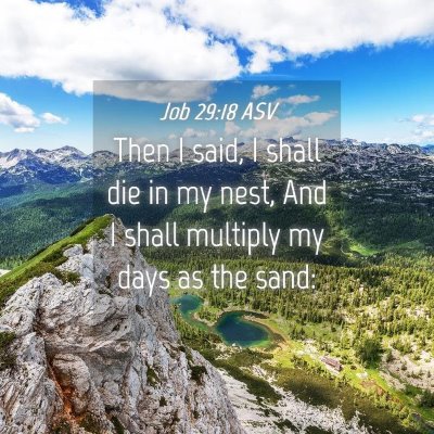Picture 04 - Job 29:18 ASV - Then I said, I shall die in my nest, And I shall - Bible Verse Picture