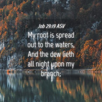 Picture 04 - Job 29:19 ASV - My root is spread out to the waters, And the dew - Bible Verse Picture