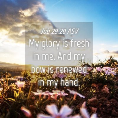 Picture 04 - Job 29:20 ASV - My glory is fresh in me, And my bow is renewed in - Bible Verse Picture
