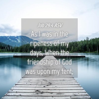 Picture 04 - Job 29:4 ASV - As I was in the ripeness of my days, When the - Bible Verse Picture