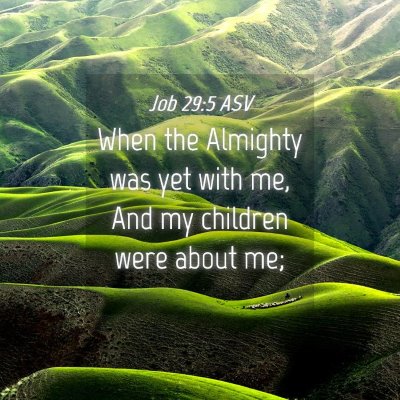 Picture 04 - Job 29:5 ASV - When the Almighty was yet with me, And my - Bible Verse Picture