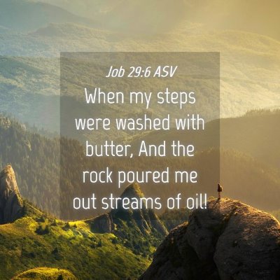 Picture 04 - Job 29:6 ASV - When my steps were washed with butter, And the - Bible Verse Picture