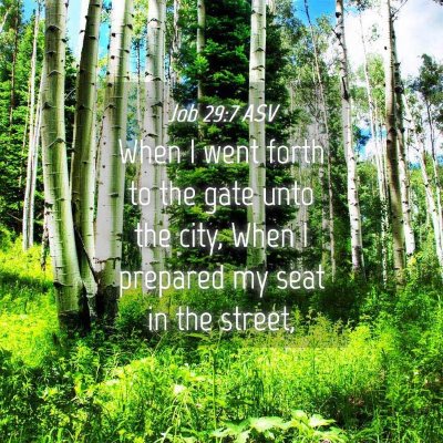 Picture 04 - Job 29:7 ASV - When I went forth to the gate unto the city, When - Bible Verse Picture
