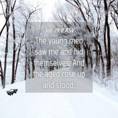 Picture 04 - Job 29:8 ASV - The young men saw me and hid themselves, And the - Bible Verse Picture