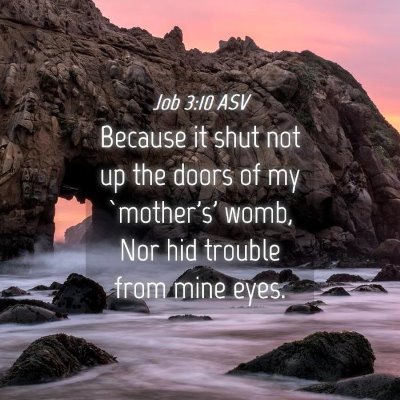 Picture 04 - Job 3:10 ASV - Because it shut not up the doors of my `mother's' - Bible Verse Picture