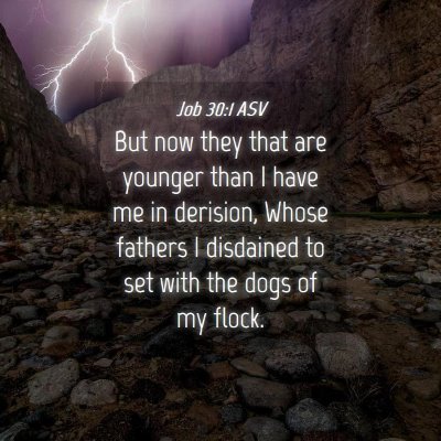 Picture 04 - Job 30:1 ASV - But now they that are younger than I have me in - Bible Verse Picture