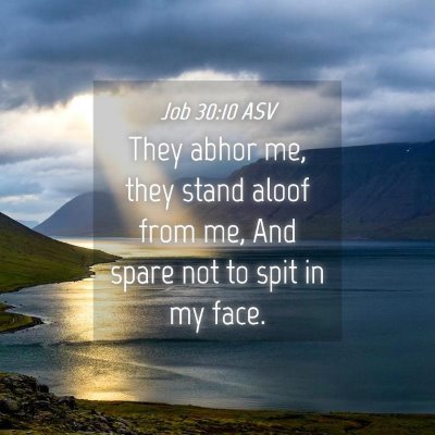 Picture 04 - Job 30:10 ASV - They abhor me, they stand aloof from me, And - Bible Verse Picture
