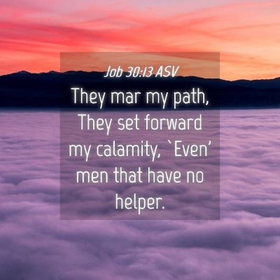 Picture 04 - Job 30:13 ASV - They mar my path, They set forward my calamity, - Bible Verse Picture