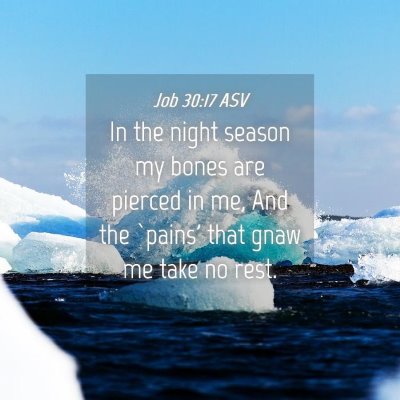 Picture 04 - Job 30:17 ASV - In the night season my bones are pierced in me, - Bible Verse Picture