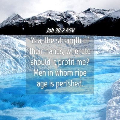 Picture 04 - Job 30:2 ASV - Yea, the strength of their hands, whereto should - Bible Verse Picture