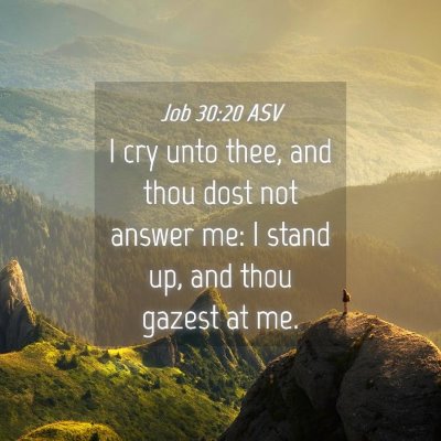 Picture 04 - Job 30:20 ASV - I cry unto thee, and thou dost not answer me: I - Bible Verse Picture