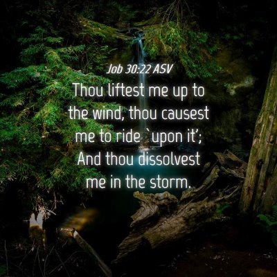 Picture 04 - Job 30:22 ASV - Thou liftest me up to the wind, thou causest me - Bible Verse Picture