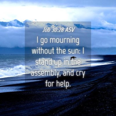Picture 04 - Job 30:28 ASV - I go mourning without the sun: I stand up in the - Bible Verse Picture