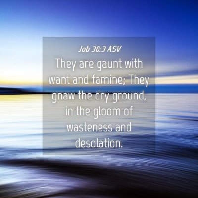 Picture 04 - Job 30:3 ASV - They are gaunt with want and famine; They gnaw - Bible Verse Picture