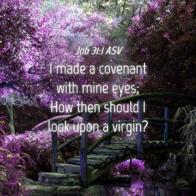 Picture 04 - Job 31:1 ASV - I made a covenant with mine eyes; How then should - Bible Verse Picture