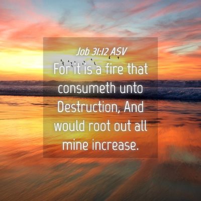 Picture 04 - Job 31:12 ASV - For it is a fire that consumeth unto Destruction, - Bible Verse Picture
