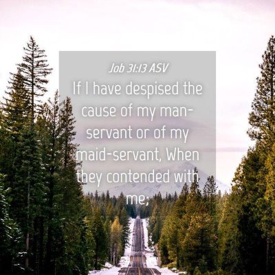Picture 04 - Job 31:13 ASV - If I have despised the cause of my man-servant or - Bible Verse Picture