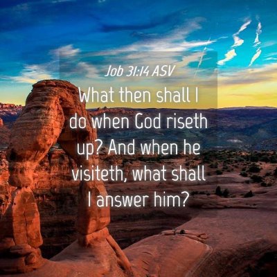 Picture 04 - Job 31:14 ASV - What then shall I do when God riseth up? And when - Bible Verse Picture