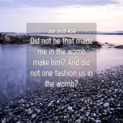 Picture 04 - Job 31:15 ASV - Did not he that made me in the womb make him? And - Bible Verse Picture