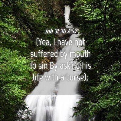 Picture 04 - Job 31:30 ASV - (Yea, I have not suffered by mouth to sin By - Bible Verse Picture