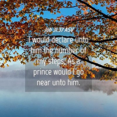 Picture 04 - Job 31:37 ASV - I would declare unto him the number of my steps; - Bible Verse Picture