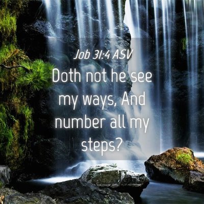 Picture 04 - Job 31:4 ASV - Doth not he see my ways, And number all my - Bible Verse Picture
