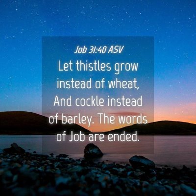 Picture 04 - Job 31:40 ASV - Let thistles grow instead of wheat, And cockle - Bible Verse Picture