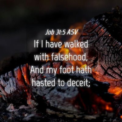 Picture 04 - Job 31:5 ASV - If I have walked with falsehood, And my foot hath - Bible Verse Picture