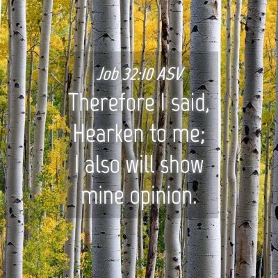 Picture 04 - Job 32:10 ASV - Therefore I said, Hearken to me; I also will show - Bible Verse Picture