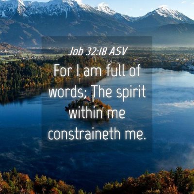 Picture 04 - Job 32:18 ASV - For I am full of words; The spirit within me - Bible Verse Picture