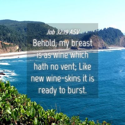 Picture 04 - Job 32:19 ASV - Behold, my breast is as wine which hath no vent; - Bible Verse Picture