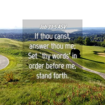 Picture 04 - Job 33:5 ASV - If thou canst, answer thou me; Set `thy words' in - Bible Verse Picture