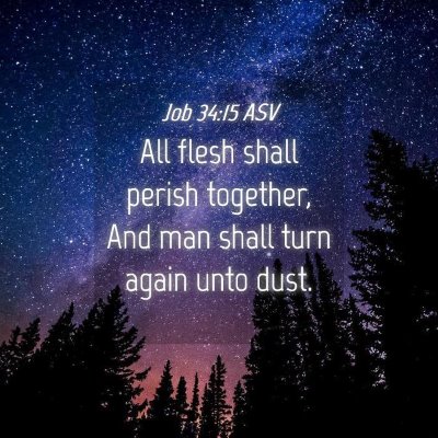 Picture 04 - Job 34:15 ASV - All flesh shall perish together, And man shall - Bible Verse Picture