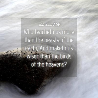 Picture 04 - Job 35:11 ASV - Who teacheth us more than the beasts of the - Bible Verse Picture