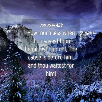 Picture 04 - Job 35:14 ASV - How much less when thou sayest thou beholdest him - Bible Verse Picture