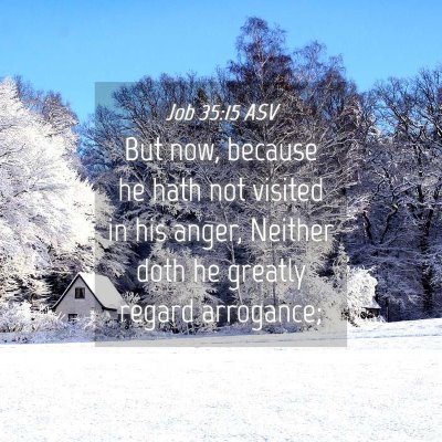 Picture 04 - Job 35:15 ASV - But now, because he hath not visited in his - Bible Verse Picture