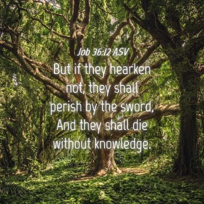 Picture 04 - Job 36:12 ASV - But if they hearken not, they shall perish by the - Bible Verse Picture