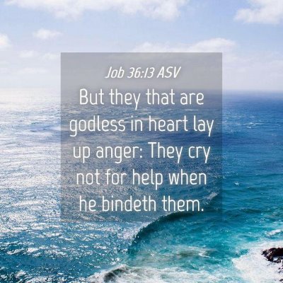 Picture 04 - Job 36:13 ASV - But they that are godless in heart lay up anger: - Bible Verse Picture