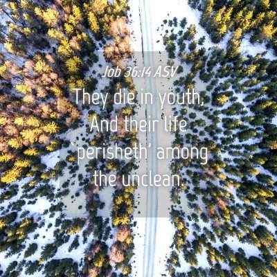 Picture 04 - Job 36:14 ASV - They die in youth, And their life `perisheth' - Bible Verse Picture