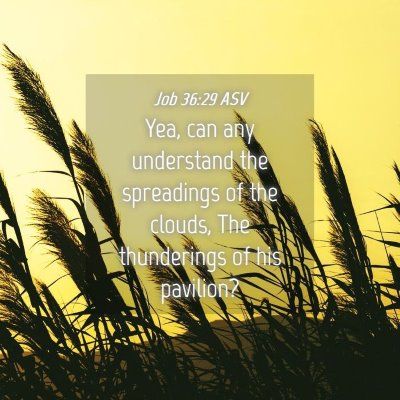 Picture 04 - Job 36:29 ASV - Yea, can any understand the spreadings of the - Bible Verse Picture