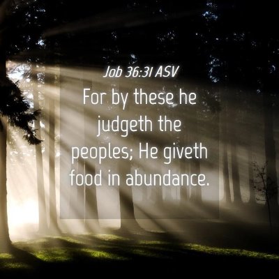 Picture 04 - Job 36:31 ASV - For by these he judgeth the peoples; He giveth - Bible Verse Picture