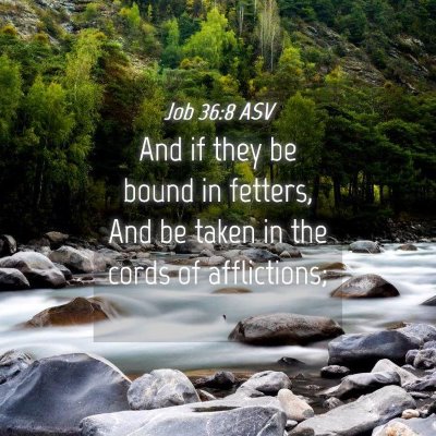 Picture 04 - Job 36:8 ASV - And if they be bound in fetters, And be taken in - Bible Verse Picture