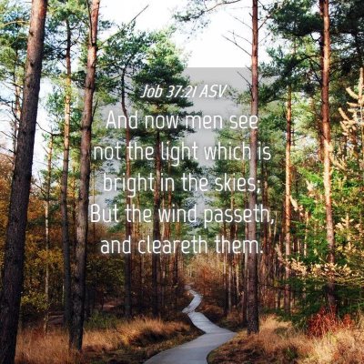 Picture 04 - Job 37:21 ASV - And now men see not the light which is bright in - Bible Verse Picture