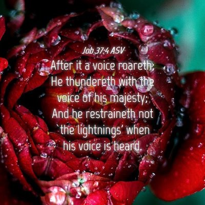Picture 04 - Job 37:4 ASV - After it a voice roareth; He thundereth with the - Bible Verse Picture