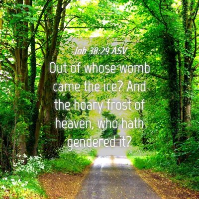 Picture 04 - Job 38:29 ASV - Out of whose womb came the ice? And the hoary - Bible Verse Picture