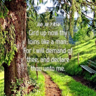 Picture 04 - Job 38:3 ASV - Gird up now thy loins like a man; For I will - Bible Verse Picture