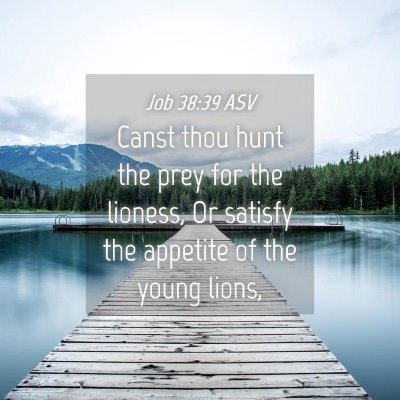 Picture 04 - Job 38:39 ASV - Canst thou hunt the prey for the lioness, Or - Bible Verse Picture