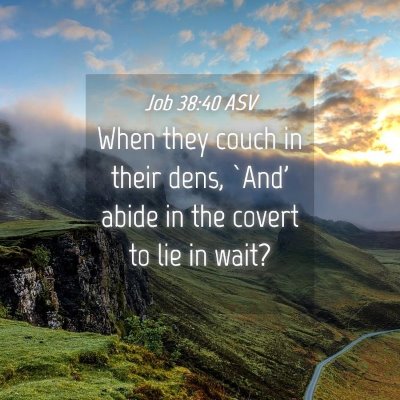 Picture 04 - Job 38:40 ASV - When they couch in their dens, `And' abide in the - Bible Verse Picture