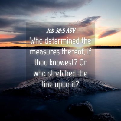 Picture 04 - Job 38:5 ASV - Who determined the measures thereof, if thou - Bible Verse Picture